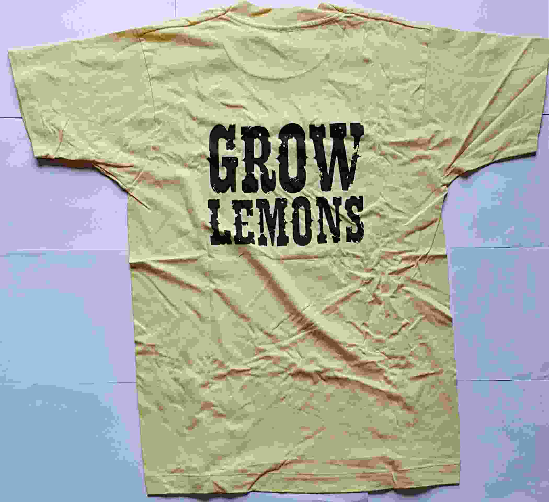 Picture of TS-LGGL Grow lemons by artist The Lemon Growers 